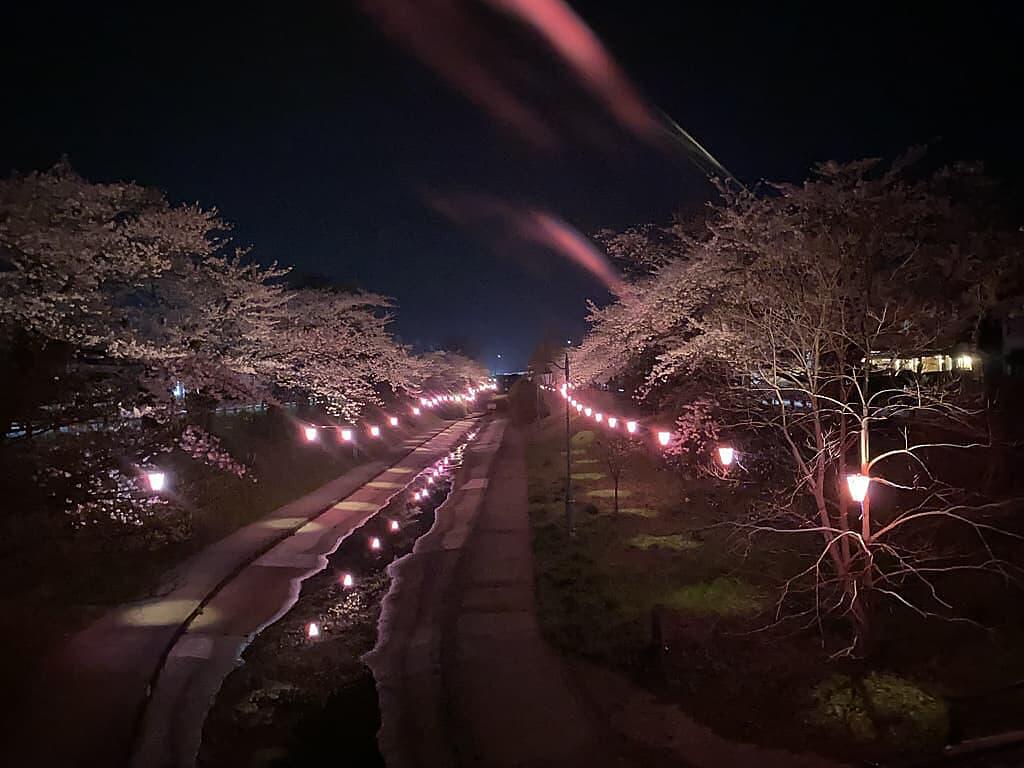 https://arayasimin.com/sakura/2025/04/21CC6A13-8F20-46D4-9A56-F5593912B9E6_1_105_c.jpg