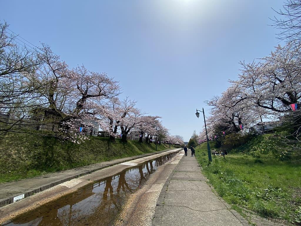 https://arayasimin.com/sakura/2025/04/2C9F05EF-734F-43BC-ADB7-0132BE9AD589_1_105_c.jpg