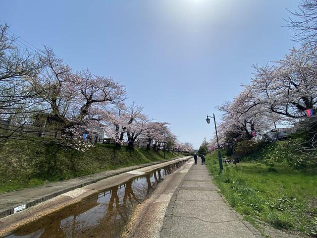 2C9F05EF-734F-43BC-ADB7-0132BE9AD589_1_105_c.jpg